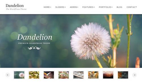 25+ Free And Beautiful Wordpress Photo Gallery Themes