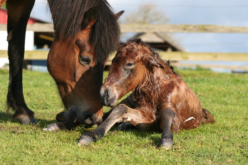 newborn-photography-23