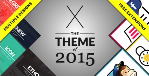 The X Theme customizable-wordpress-themes1