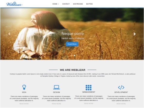 Weblizar customizable-wordpress-themes2