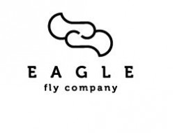 Eagle Fly - eagle based logos