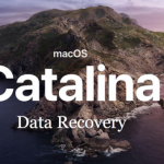 How to Undeleted Files From Emptied Trash in macOS Catalina