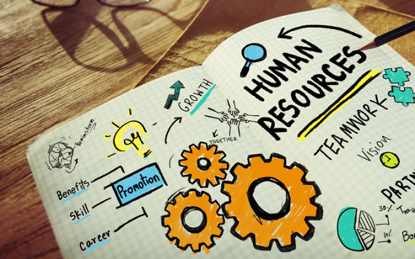 Human Resource